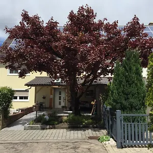 Aparthotel Apartmentvermietung Ingrid Bolkart - Voehlino 2, Illertissen